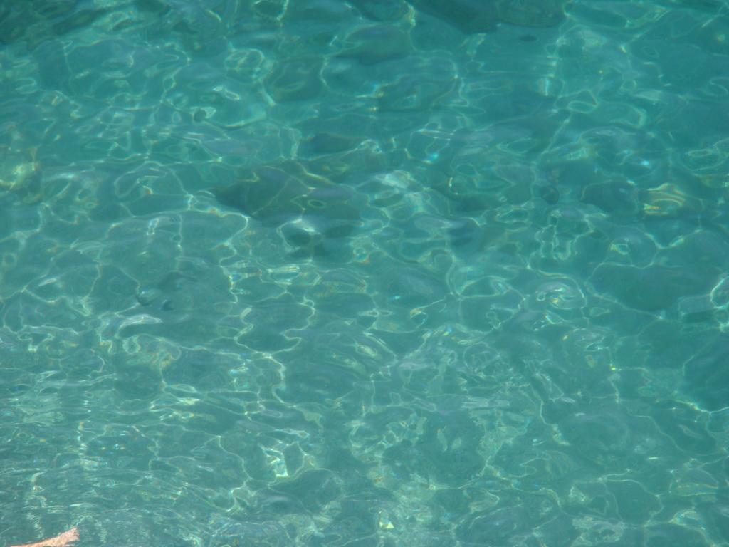 Un Sogno Chiamato Ravello Daire Dış mekan fotoğraf